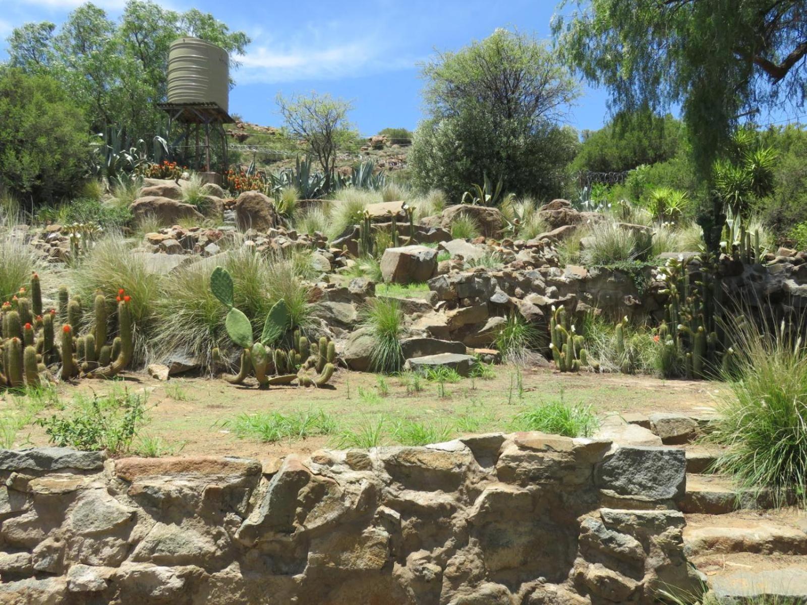 Hotel Cobblestone Court Colesberg Exterior foto